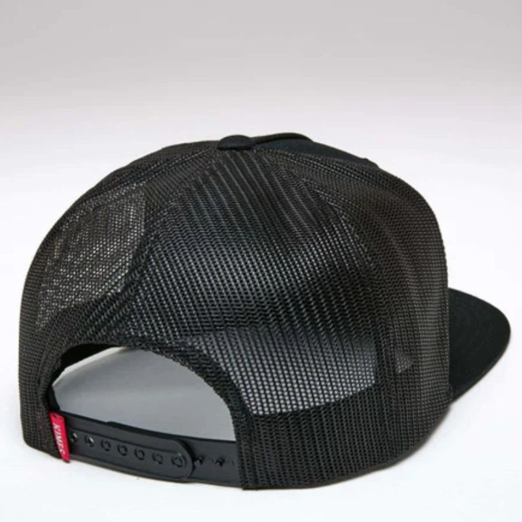 Back view displaying the black mesh and adjustable snapback closure.