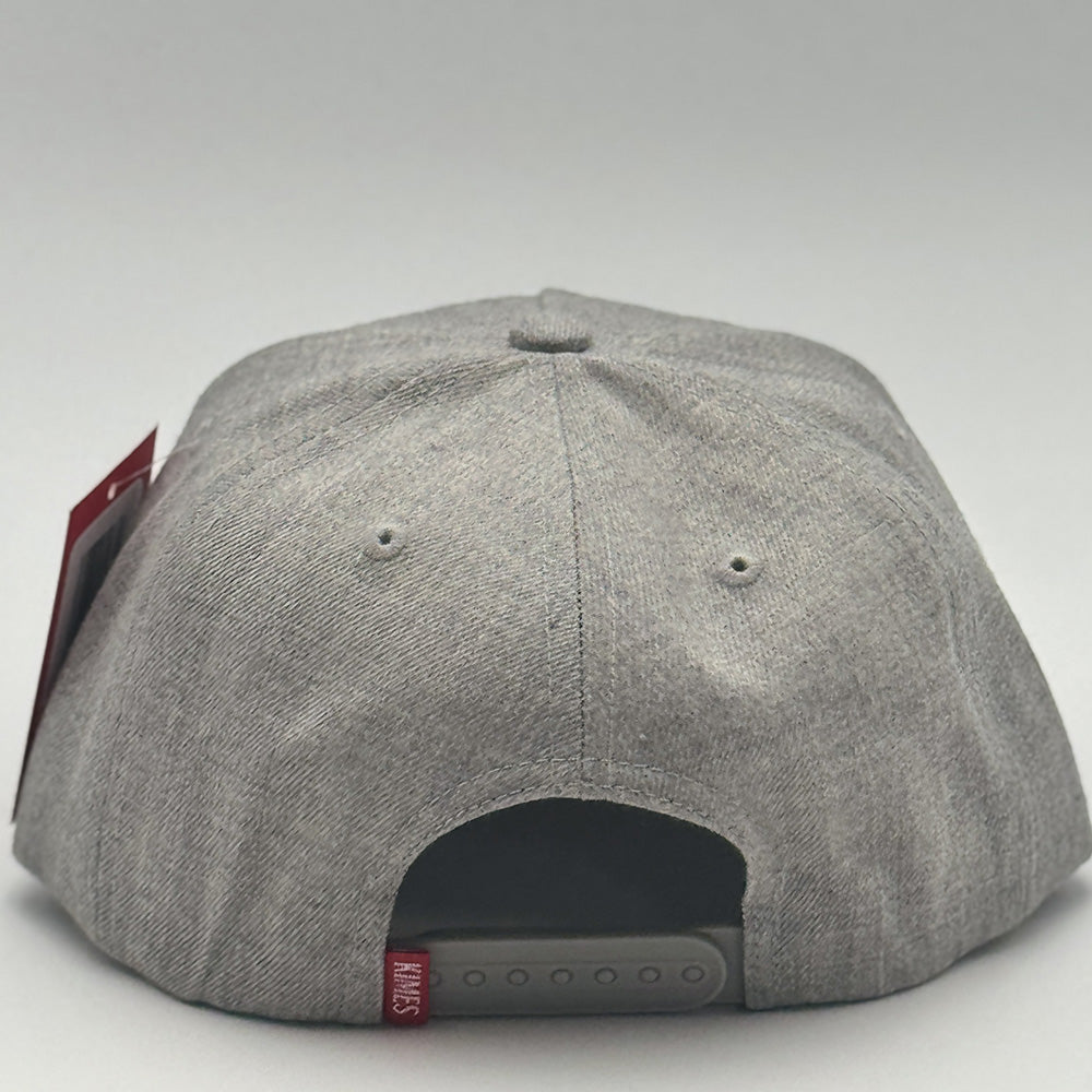 Banquet Gray Cap UHA0000171
