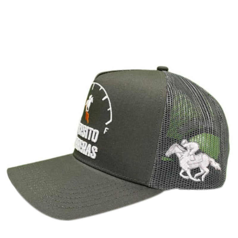 Necesito Carreras Cap