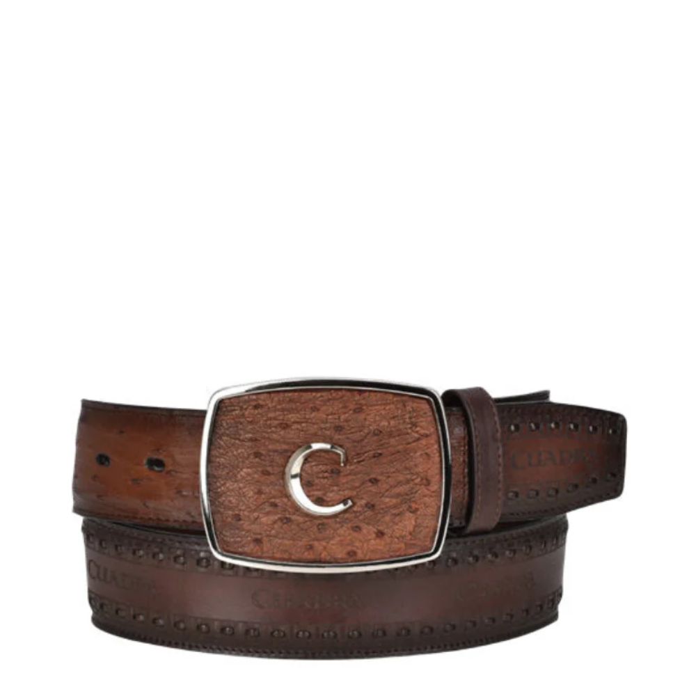 Cuadra Moroni chesnut Belt BC278