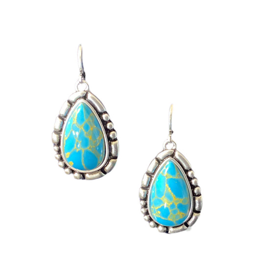 Prickly Pear Earrings ER6126
