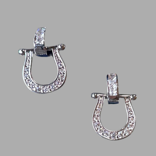 Ride in Style Earrings ER5824